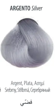 صبغة ماكسيما الايطالية - مصحح فضي - YASSO STORE